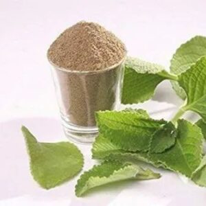 Ajwain Leaf Powder (Indian Borage)