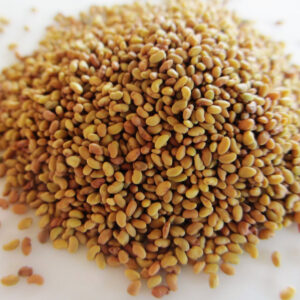 Alfalfa Seeds