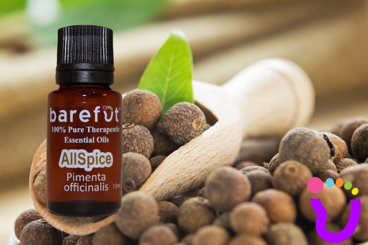 Allspice Essential Oil
