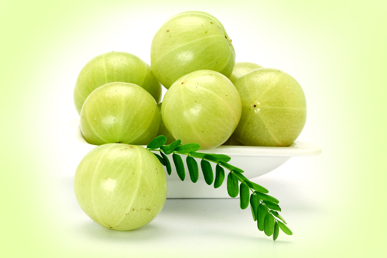 Amla (Indian Gooseberry)