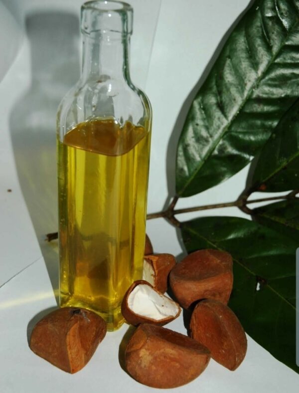 Andiroba Oil