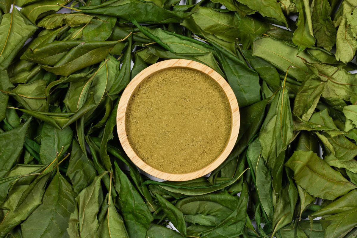 Bay Leaf Powder