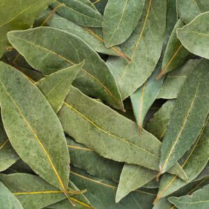 Bay Leaves