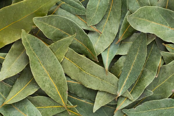 Bay Leaves