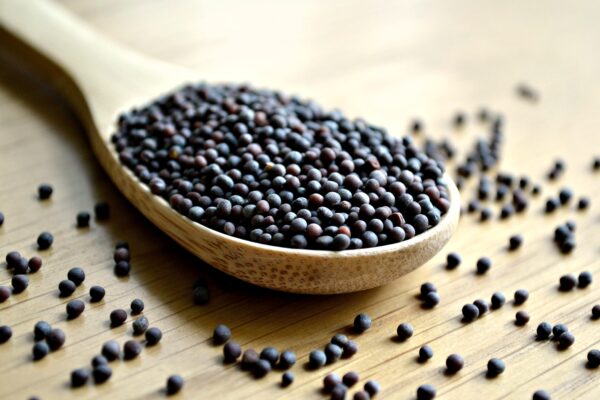 Black Mustard Seeds