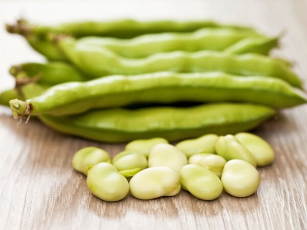 Broad Beans