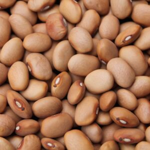 Brown Beans