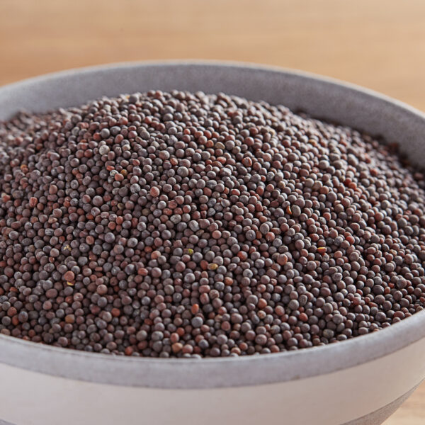 Brown Mustard Seeds