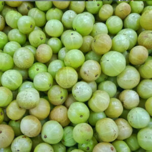 Canned Amla (Indian Gooseberry)
