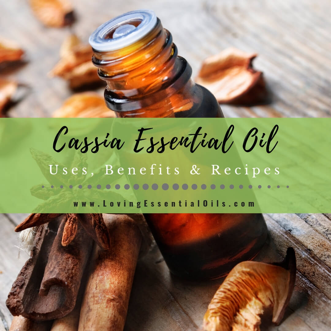 Cassia Essential Oil