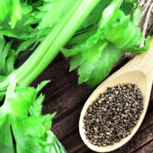 Celery Seeds