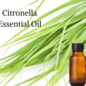 Citronella Essential Oil