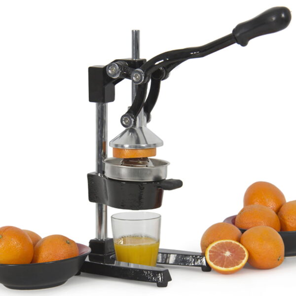 Citrus Juicer