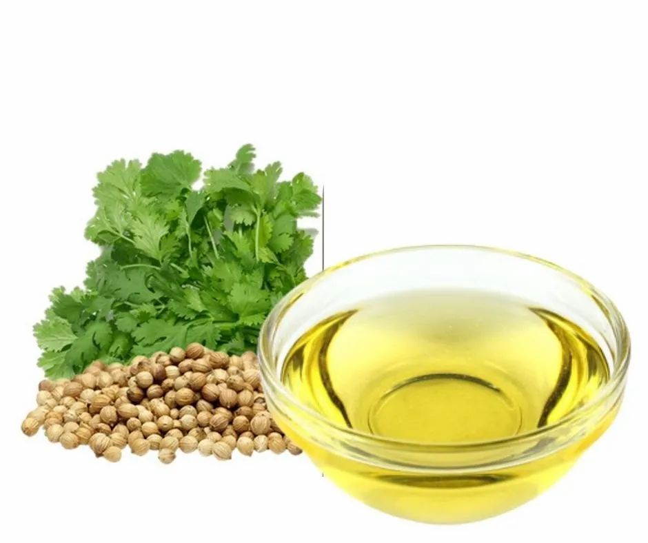 Cold Pressed Coriander Seed Oil