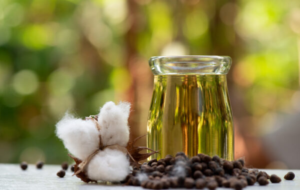 Cottonseed Oil