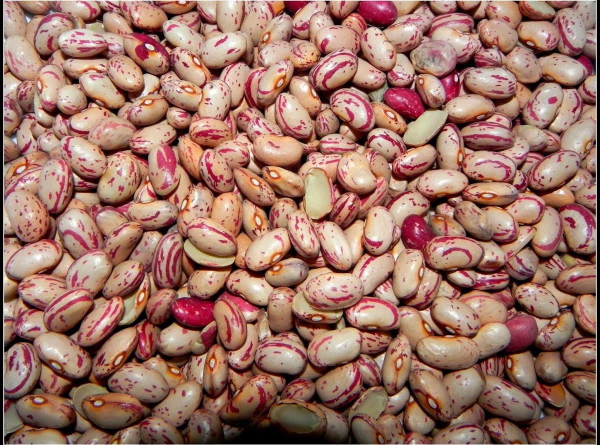 Cranberry Beans