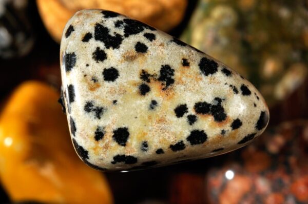 Dalmatian Stone