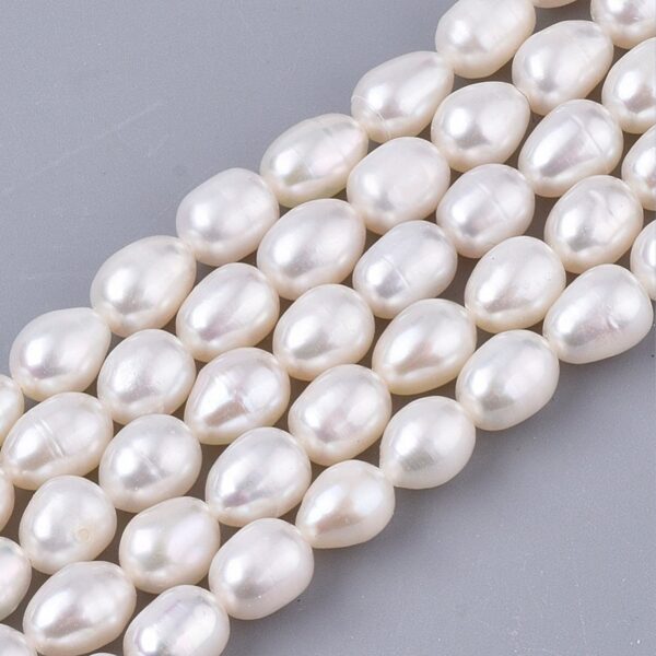 Freshwater Pearl Beads