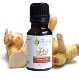 Galangal Oil