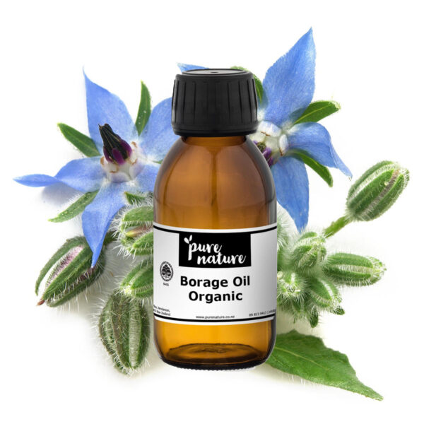 Indian Borage Oil