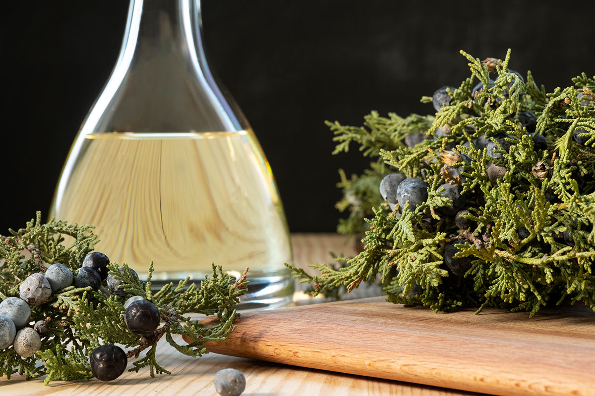 Juniper Berry Oil