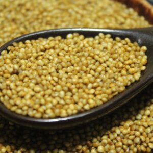 Khodo Millet