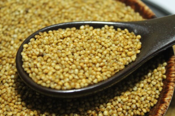 Khodo Millet