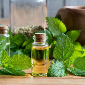 Lemon Balm Herb Oil