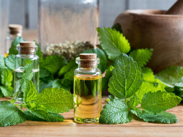 Lemon Balm Herb Oil