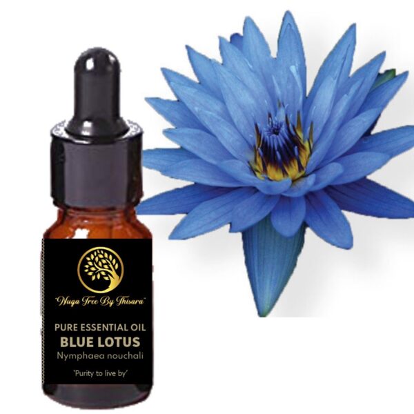 Lotus Essential Oil