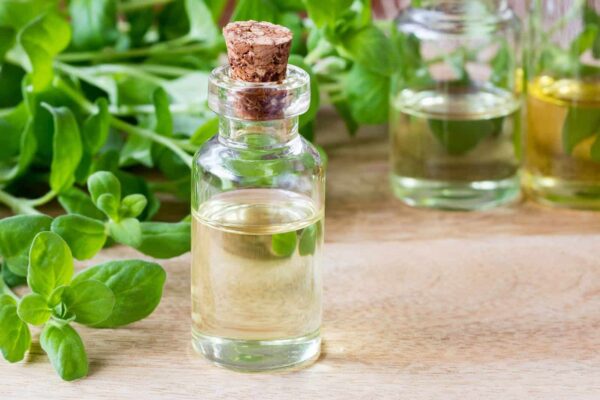 Marjoram Herb Oil