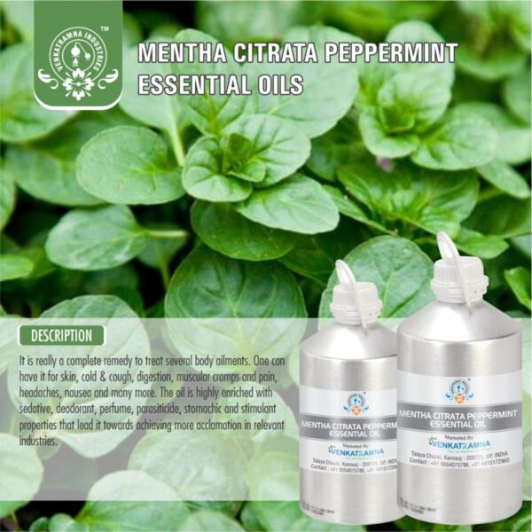 Mentha Citrata Peppermint Oil