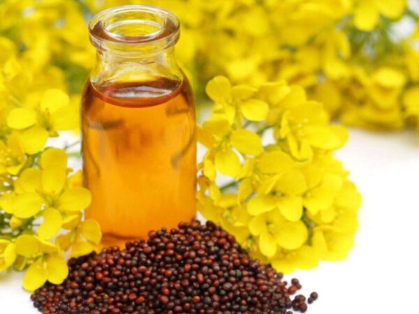 Mustard Oil