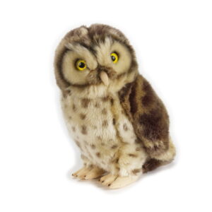 Owl Plush Toy