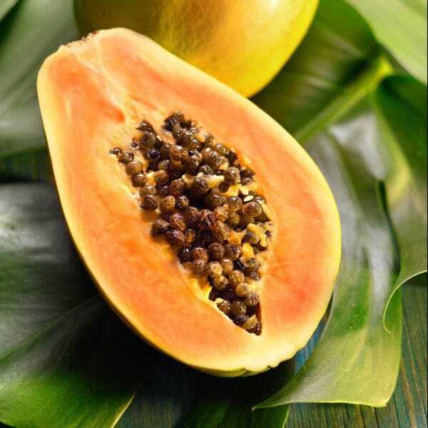 Papaya