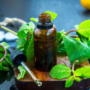 Peppermint Herb Oil