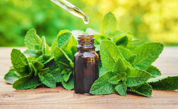 Peppermint Oil