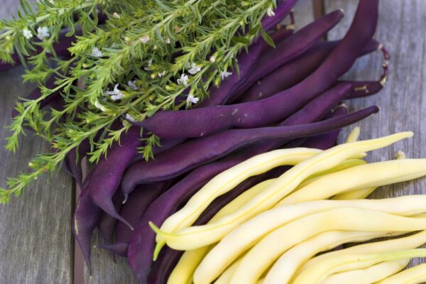 Purple Beans