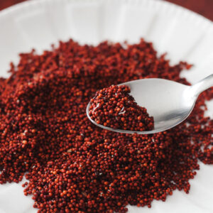 Ragi