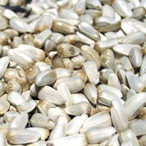 Safflower Seeds