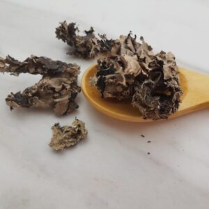 Stone Flower (Dagad Phool)
