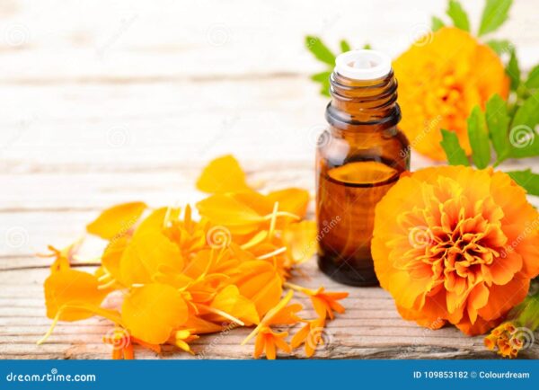 Tagetes Essential Oil