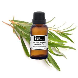 Tea Tree Herb Essential Oil