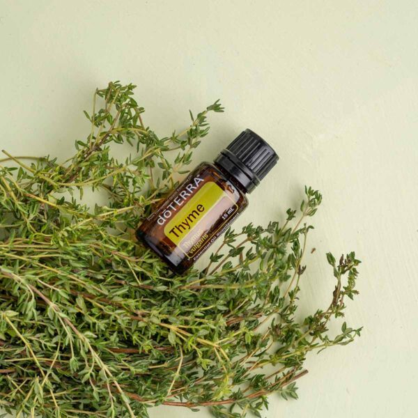 Thyme Herb Oil