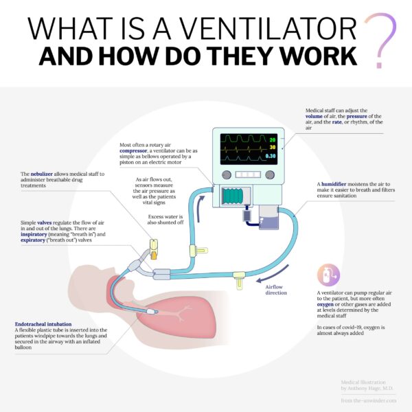 Ventilator Circuits