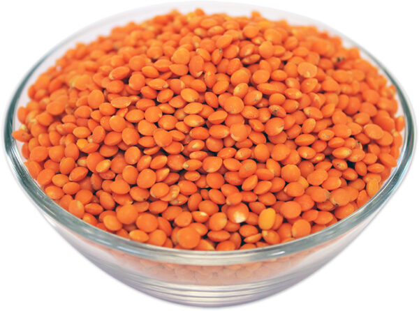 Whole Red Lentils