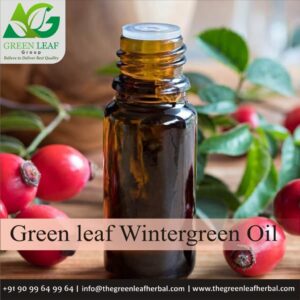 Wintergreen Herb Oil